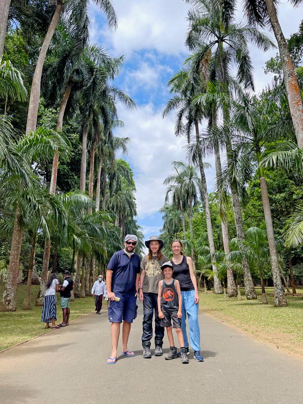 palmenallee-kandy-botanischer-garten-sri-lanka-mit-kind