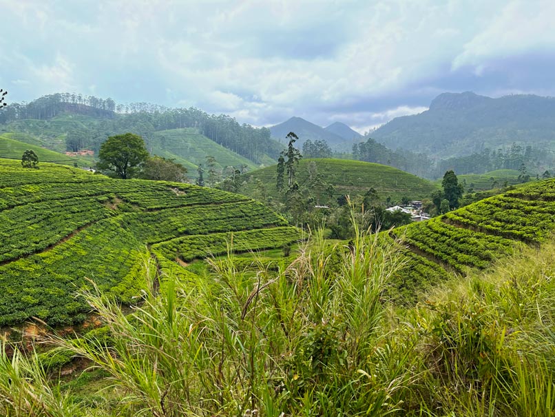 reisetipps-sri-lanka-zugfahren