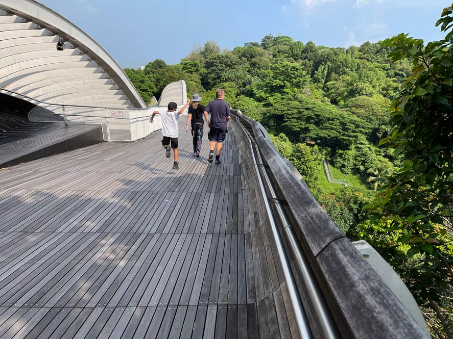 Sehenswürdigkeiten in Singapur - Alle Highlights für Singapur in einem Tag southern-ridges-henderson-wave-singapur-mit-kindern