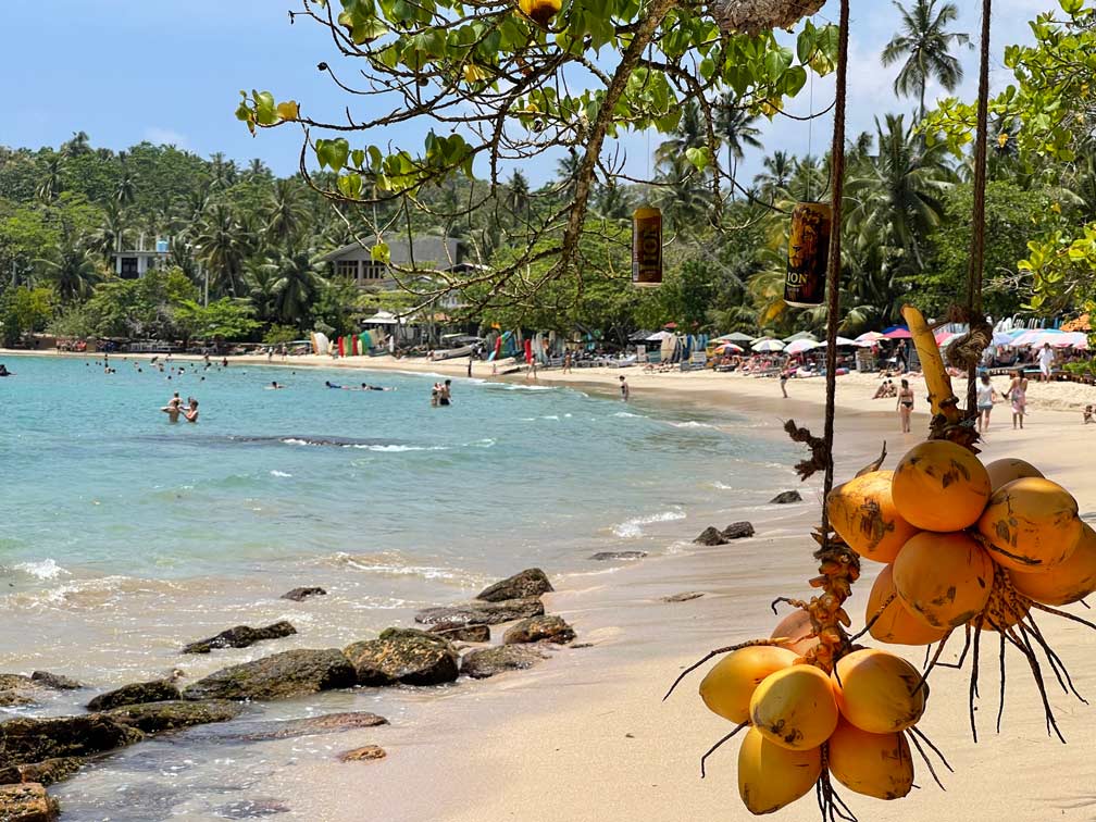 blick vorbei an aufgehängten kokosnüssen auf strand in sri lanka