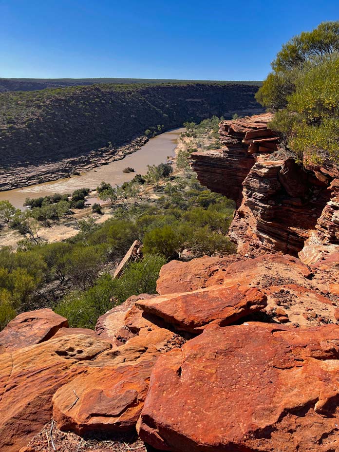 rote-sandstein-landschaft-blick-in-die-schlucht-auf-fluss-im-kalbarri-nationalpark-einem-highlight-in-westaustralien