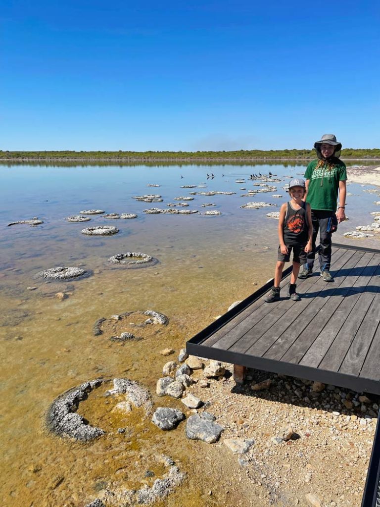 zwei-kinder-stehen-lachend-auf-einem-holzesteg-am-lake-thetis-nebendran-im-wasser-sind-stromatolithen-eine-besondere-sehenswuerdigkeit-in-western-australia