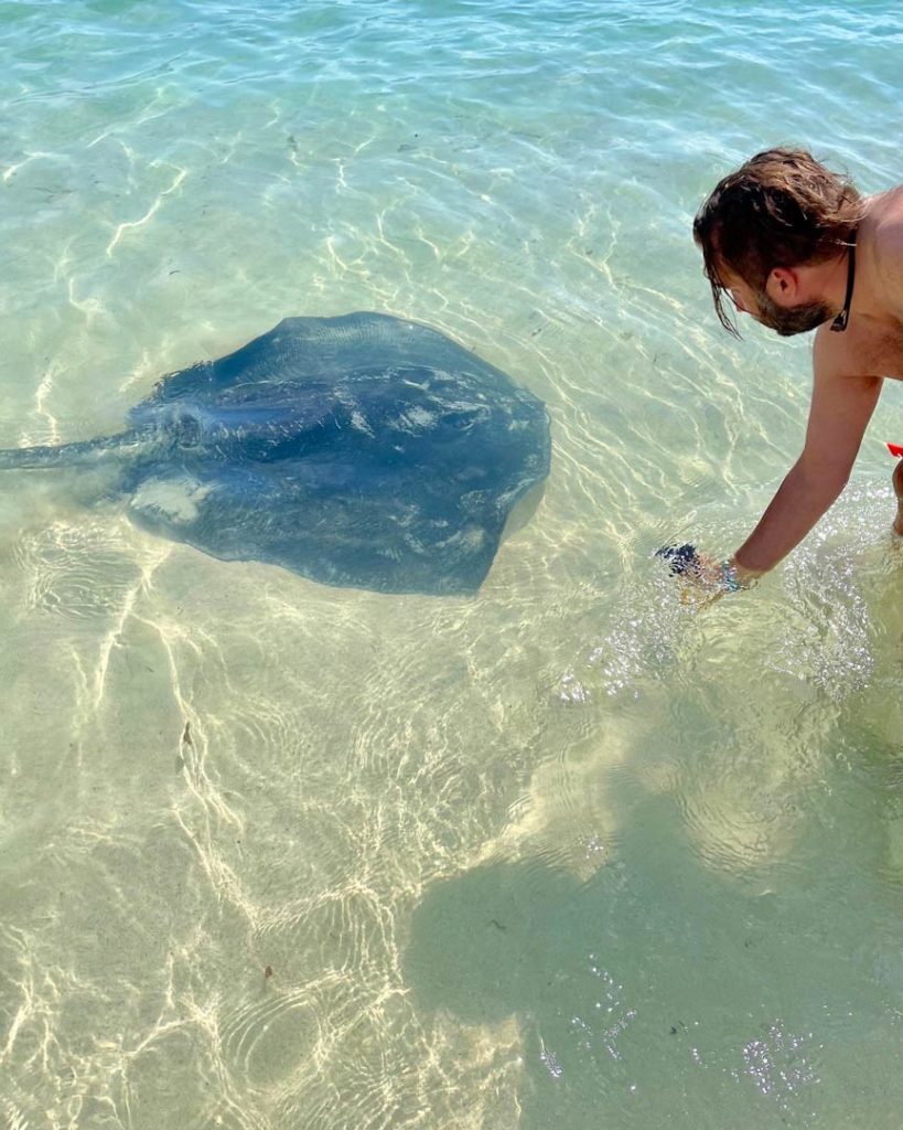 stachelrochen-hamelin-bay-rundreise-suedwest-australien