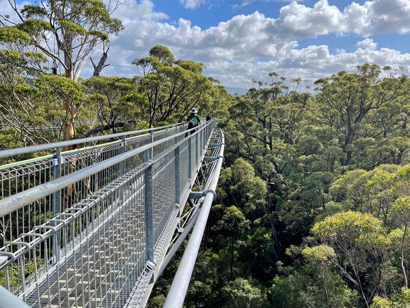 SĂĽdwesten Australiens - Highlights fĂĽr die 2-Wochen Rundreise ab Perth haengebruecke-aus-stahl-ueber-baumkronen-in-australien