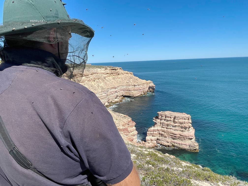 mann-mit-moskitohut-voller-buschfliegen-blickt-auf-felsenkueste-im-kalbarri-nationalpark