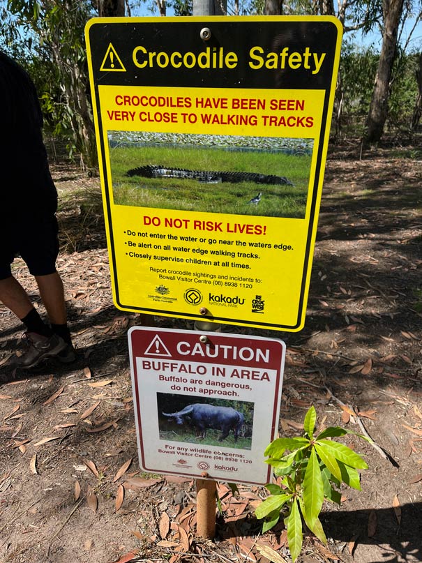 krokodile-northern-territory-gefahren