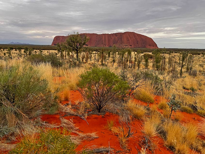 Roadtrip Northern Territory - Rundreise von Darwin zum Uluru sonnenaufgang-mit-grauem-himmel-am-roten-uluru