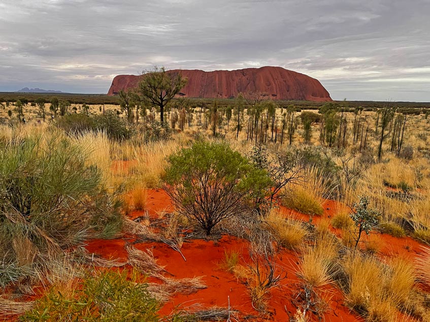 sonnenaufgang uluru von darwin bis uluru mit camper