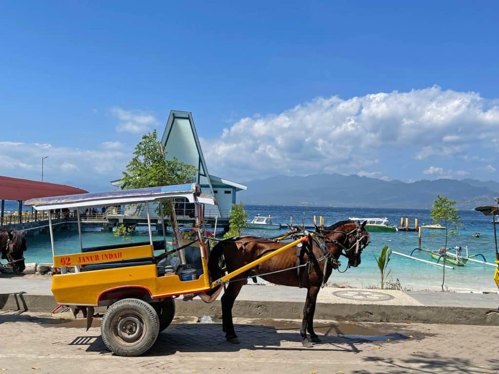 Gili Inseln - der ausführlichste Guide zu Balis Nachbarinseln fortbewegung-gili-trawangan-reisetipps-indonesien