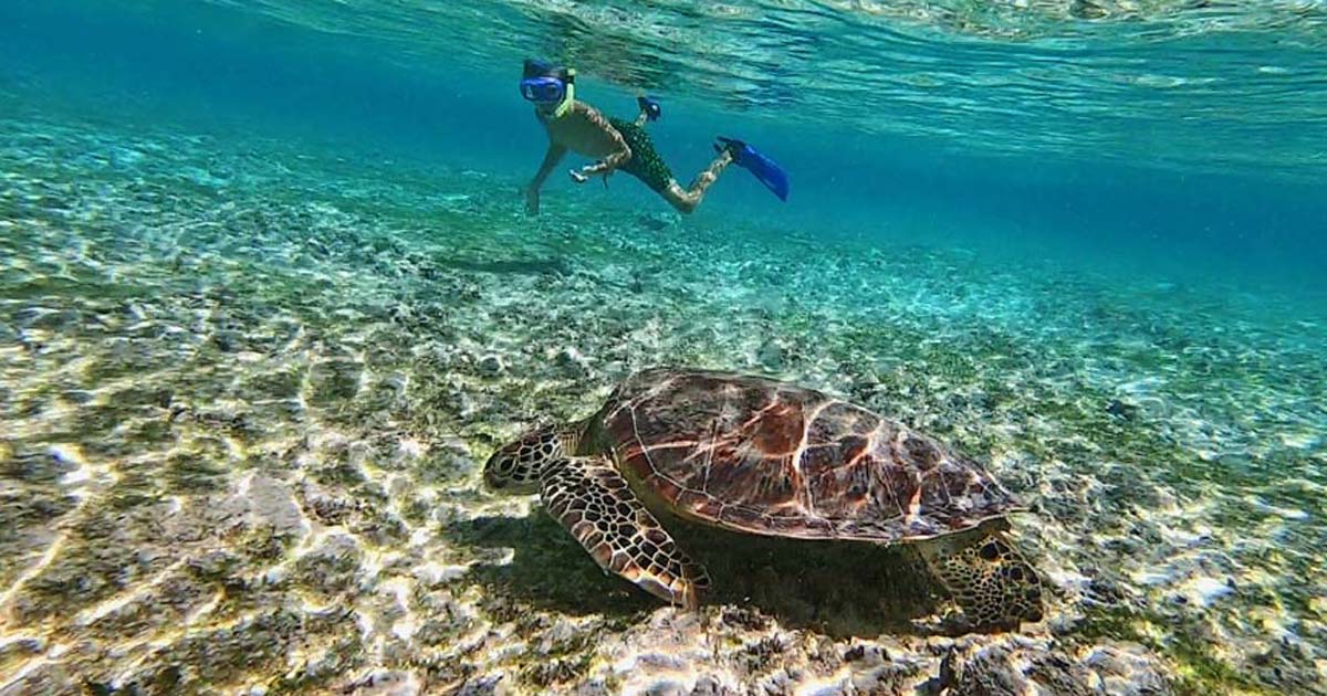Du betrachtest gerade Gili Inseln – der ausführlichste Guide zu Balis Nachbarinseln