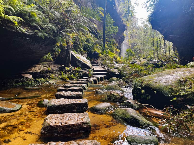 Blue Mountains in Australien - Naturparadies vor den Toren Sydneys trittsteine-im-flussbett-in-gruen-bewachsenem-canyon-in-australien-blue-mountains