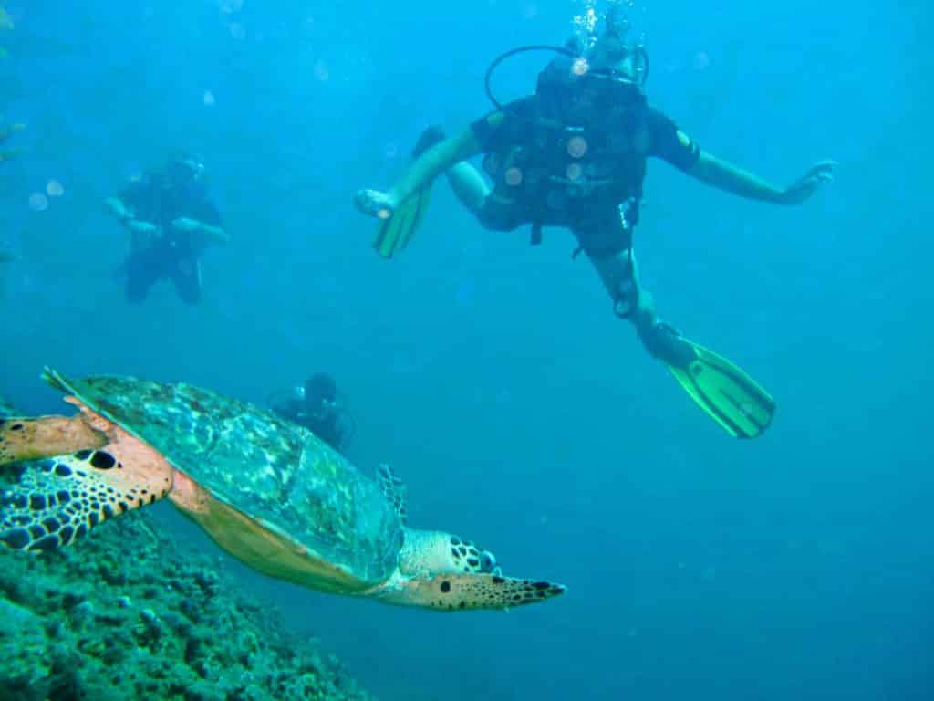 open-water-diver-tauchkurse-bei-padi-erfahrungsbericht