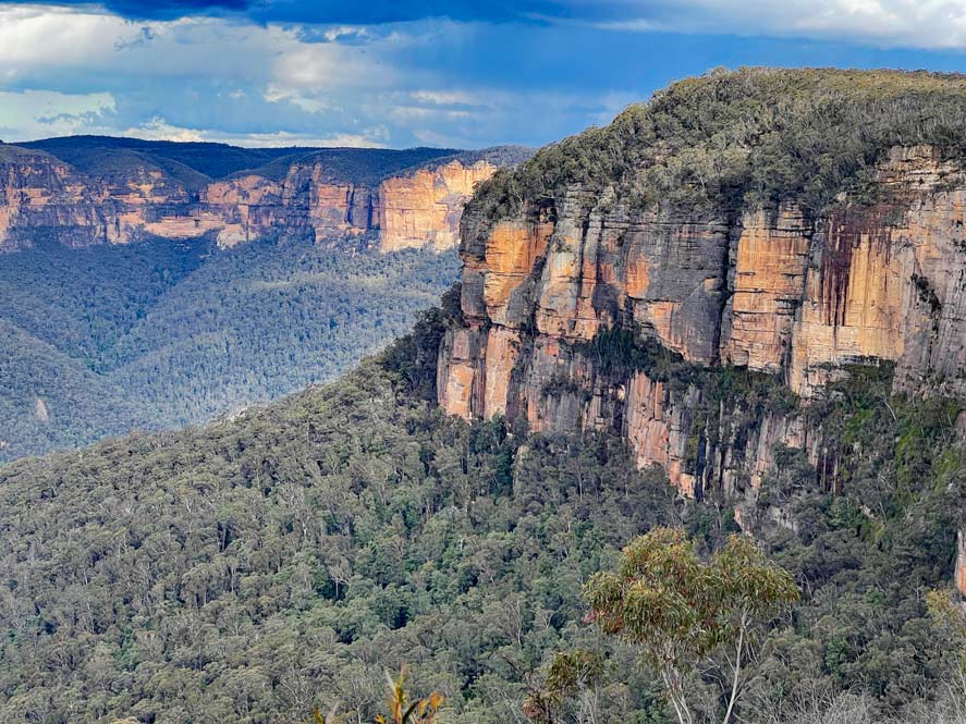 eukalyptuswaelder-in-den-blue-mountains-australien-an-hohen-felsen