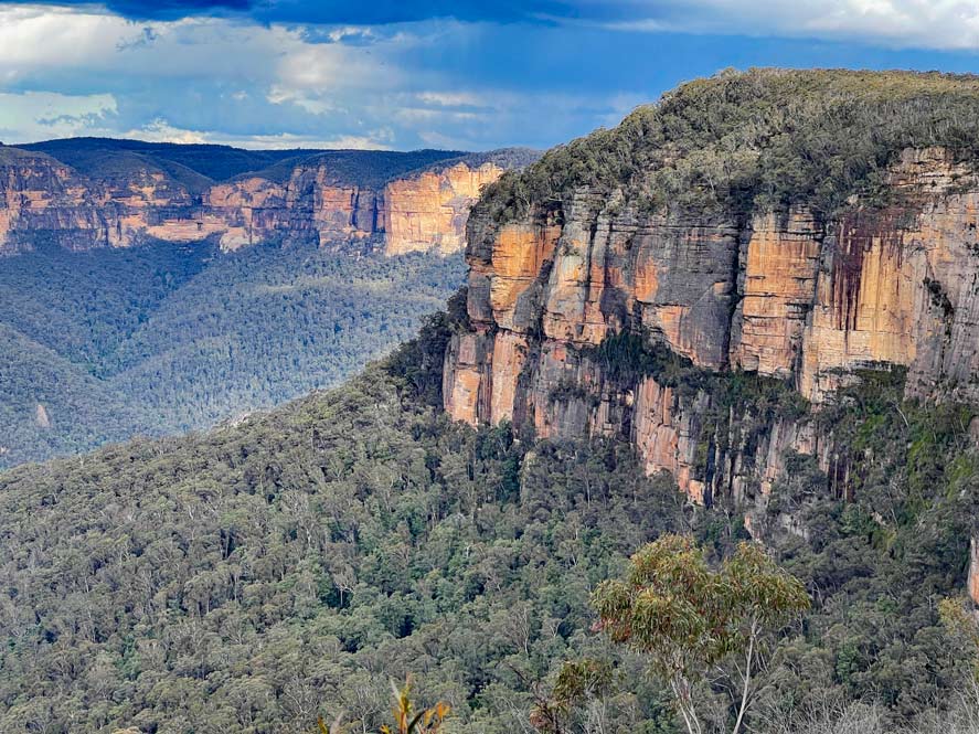 Blue Mountains in Australien - Naturparadies vor den Toren Sydneys eukalyptuswaelder-in-den-blue-mountains-australien-an-hohen-felsen