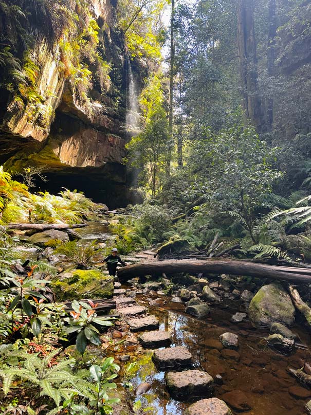 Blue Mountains in Australien - Naturparadies vor den Toren Sydneys trittsteine-im-fluss-im-canyon-in-den-blue-mountains