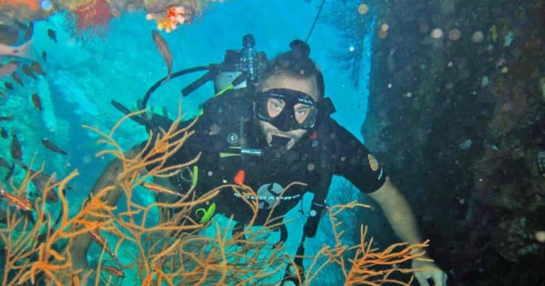 Mehr über den Artikel erfahren Tauchen in Bali und Umgebung – Tauchspots, Tauchschulen, Tipps