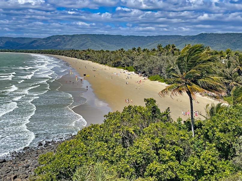Route für den Roadtrip von Cairns nach Brisbane im Camper aussicht-strand-australien-mit-palmen