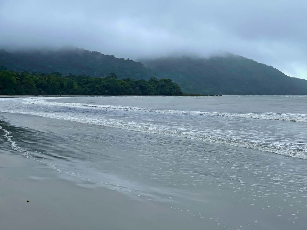 Daintree Rainforest - Tipps fĂŒr den Nationalpark in Queensland neblige stimmung am cape tribulation