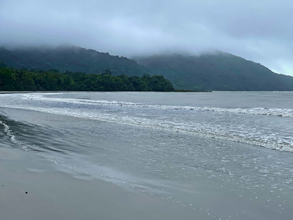 cape-tribulation-reisetipps-daintree-nationalpark-ostkueste-australien