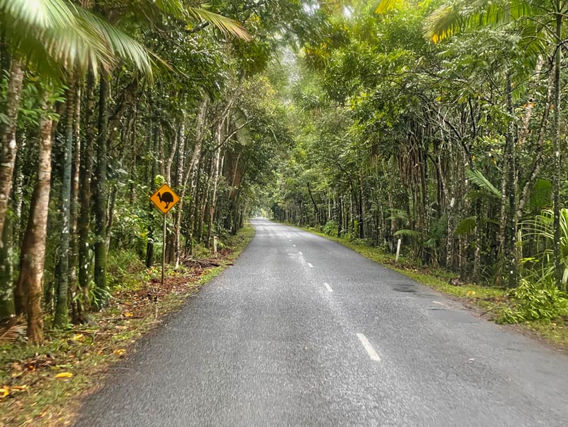 Daintree Rainforest - Tipps fĂŒr den Nationalpark in Queensland straĂe mit cassowary schild im daintree rainforest