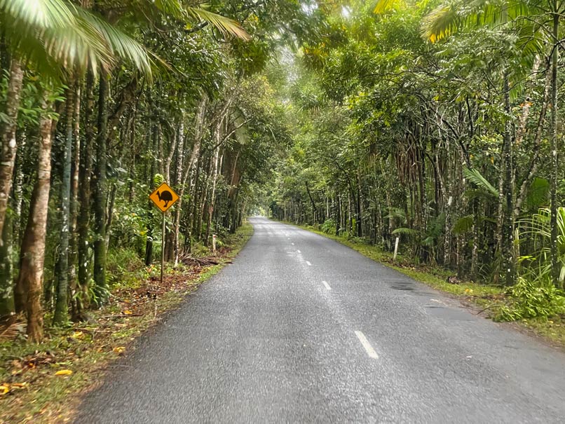 daintree-rainforest-cassowary-schild