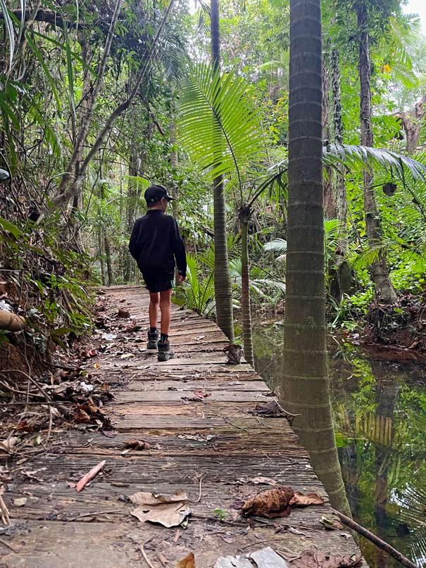 Daintree Rainforest - Tipps fĂŒr den Nationalpark in Queensland kind spaziert auf holzsteg im daintree nationalpark