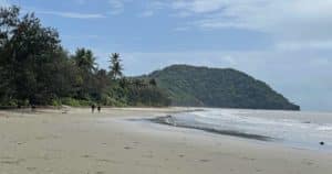 Mehr über den Artikel erfahren Daintree Rainforest – Tipps für den Nationalpark in Queensland