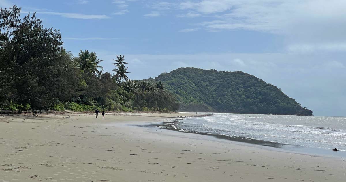 You are currently viewing Daintree Rainforest – Tipps für den Nationalpark in Queensland