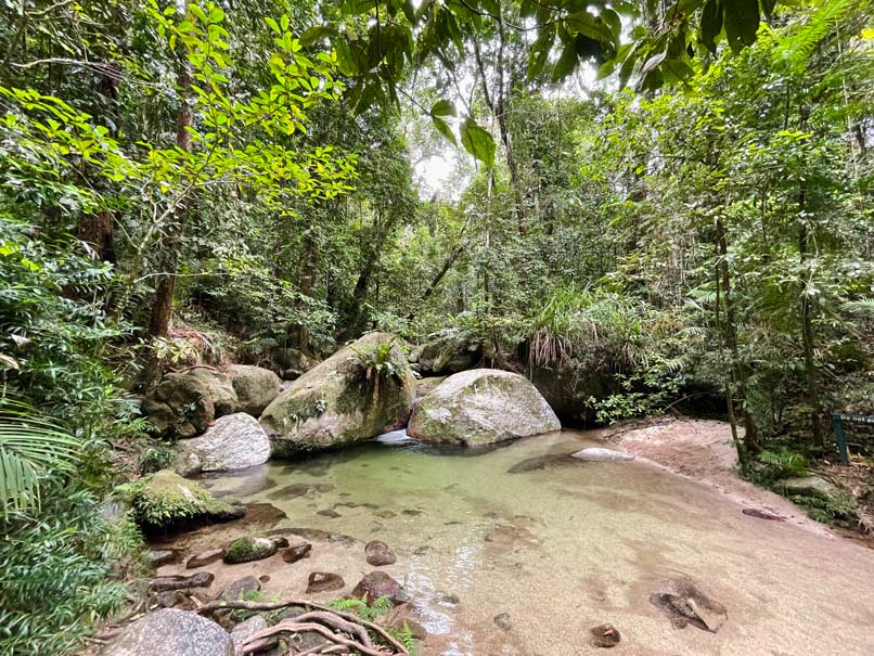 Daintree Rainforest - Tipps fĂŒr den Nationalpark in Queensland felsen im flusslauf in der mossman gorge in australien