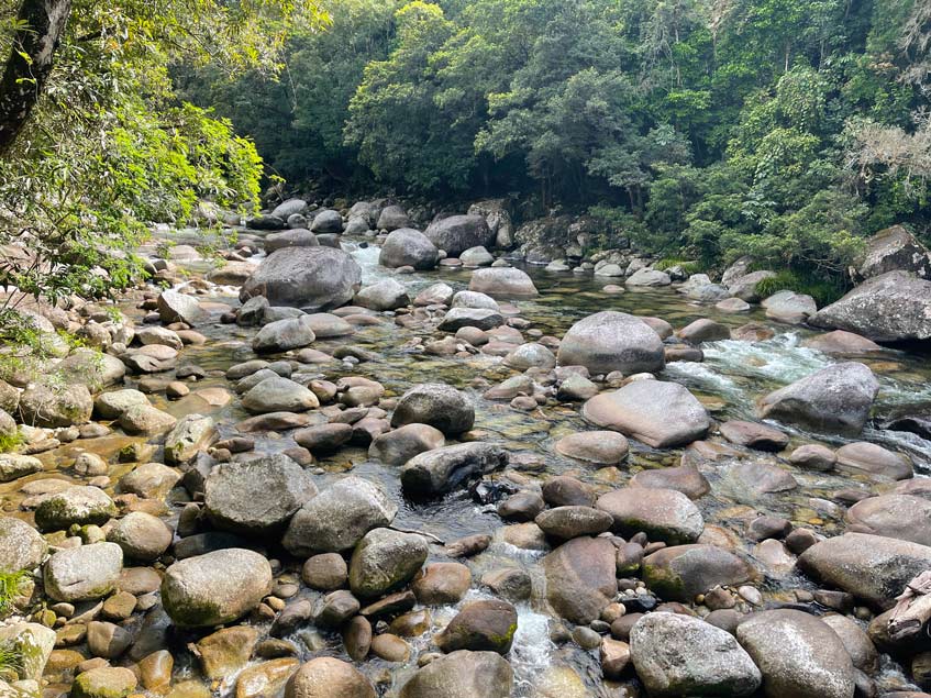 Daintree Rainforest - Tipps fĂŒr den Nationalpark in Queensland steiniger flusslauf im daintree rainforest