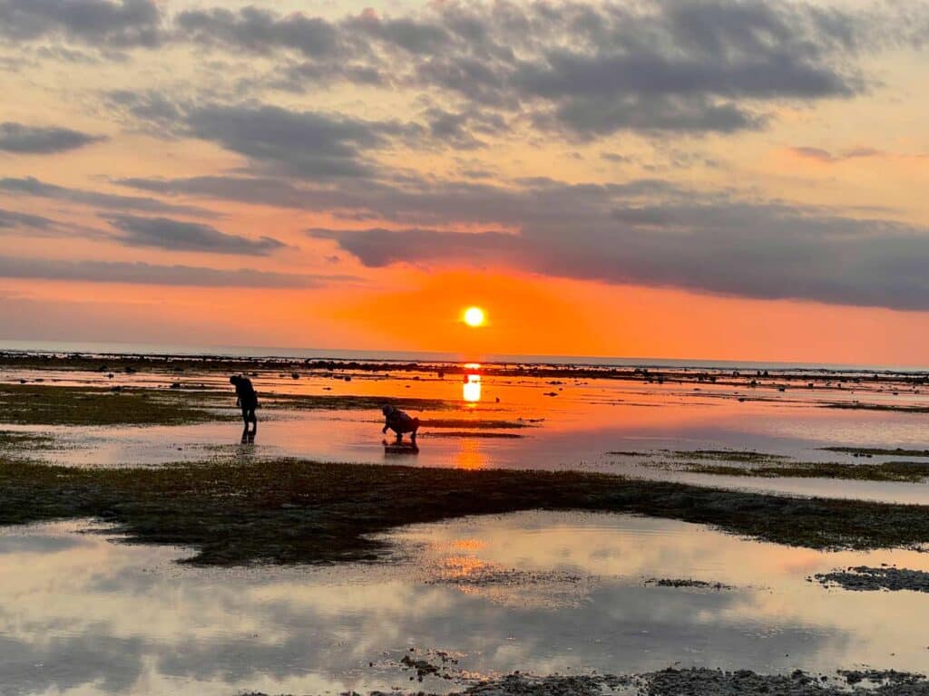 erfahrungsbericht gili inseln bali nachbarinsel