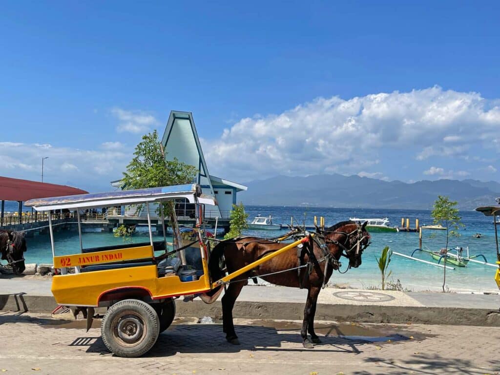 pferdekutsche-fortbewegung-gili-inseln-bei-bali