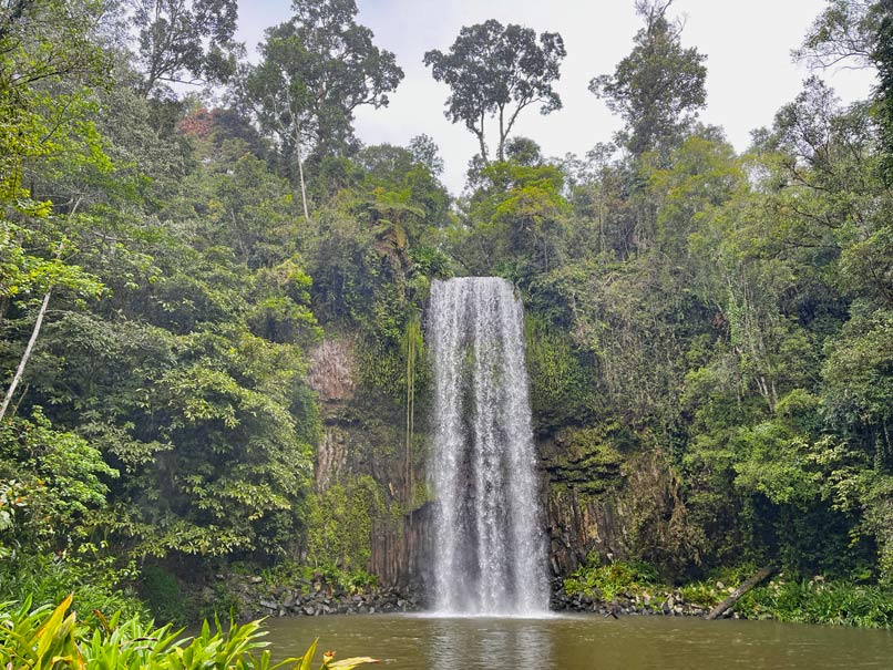 Route für den Roadtrip von Cairns nach Brisbane im Camper malerischer-wasserfall-millaa-millaa-falls-waterfall-circuit-atherton-tablelands-australien