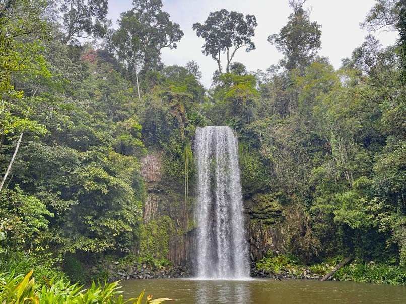 malerischer-wasserfall-millaa-millaa-falls-waterfall-circuit-atherton-tablelands-australien