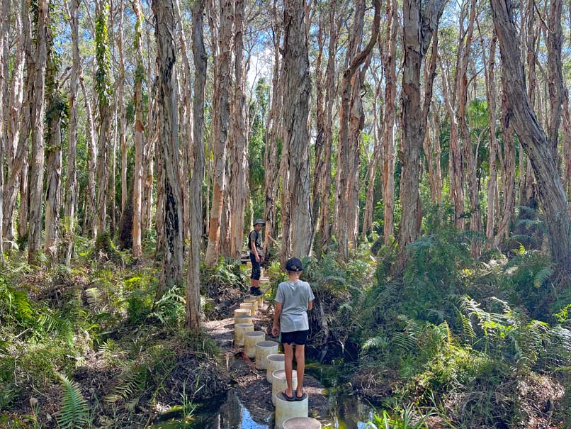 Route für den Roadtrip von Cairns nach Brisbane im Camper roadtrip-ostkueste-australien-mit-kindern-route-cairns-brisbane