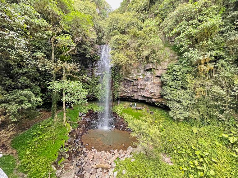 wasserfall-dorrigo-nationalpark-sehenswuerdigkeiten-zwischen-brisbane-sydney