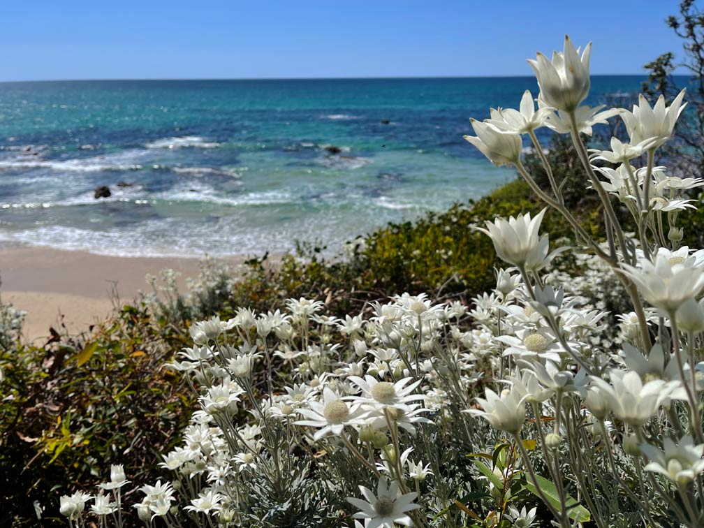 yuraygir-nationalpark-strand-ostkueste-australien-brisbane-nach-sydney