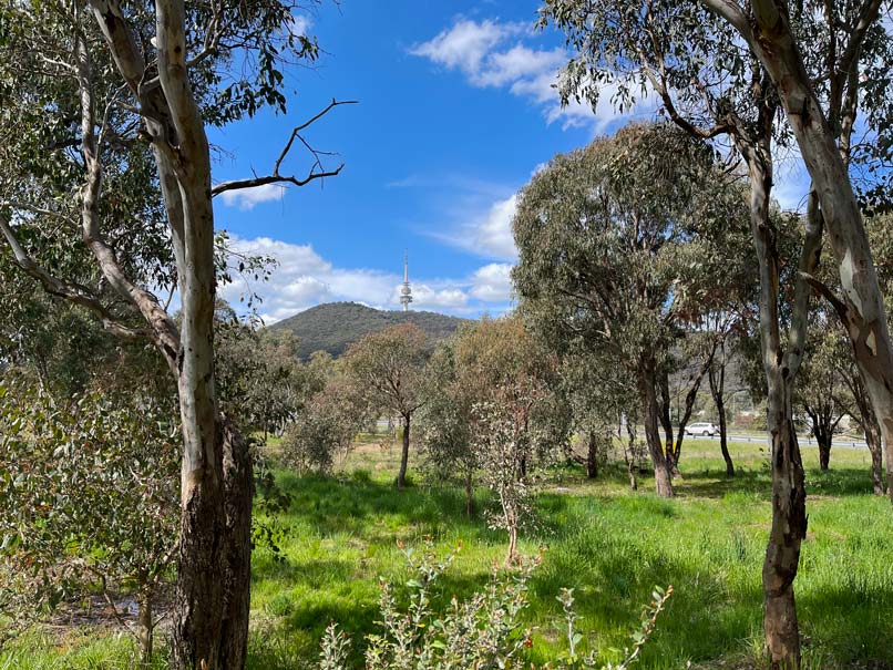 telstra-tower-canberra-sehenswuerdigkeiten