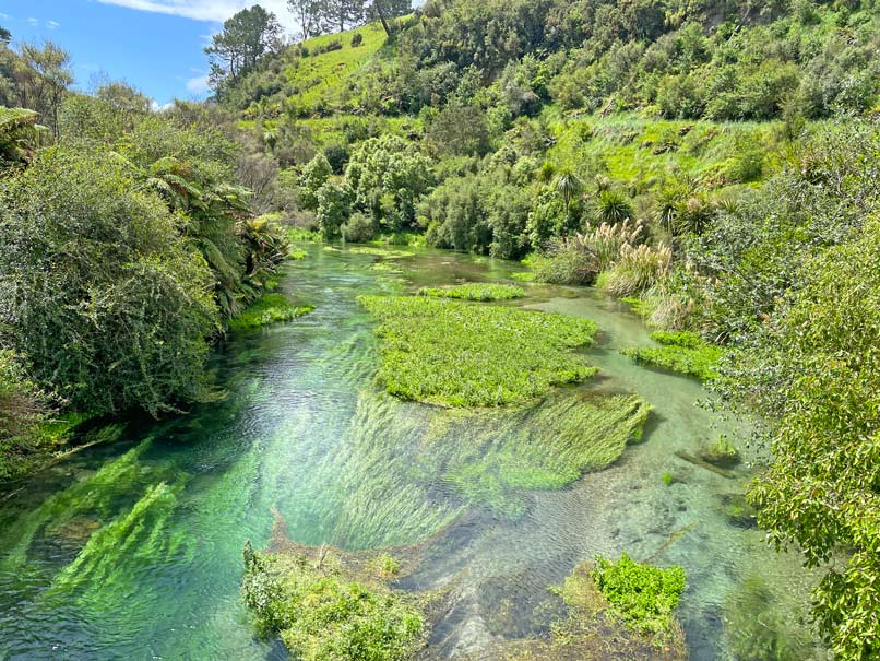 klarer-fluss-in-neuseeland-welcher-der-wasserversorgung-dient-bei-rotorua