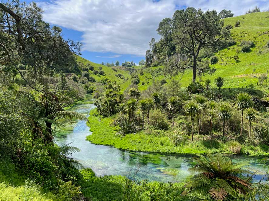 landschaft-neuseeland-klarer-blauer-fluss-blue-springs-putaruru-ausflugsziel-ab-rotorua-kostenlos