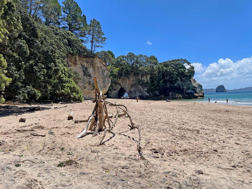 strand-megs-leg-cove-cathedral-cove-coromandel-halbinsel