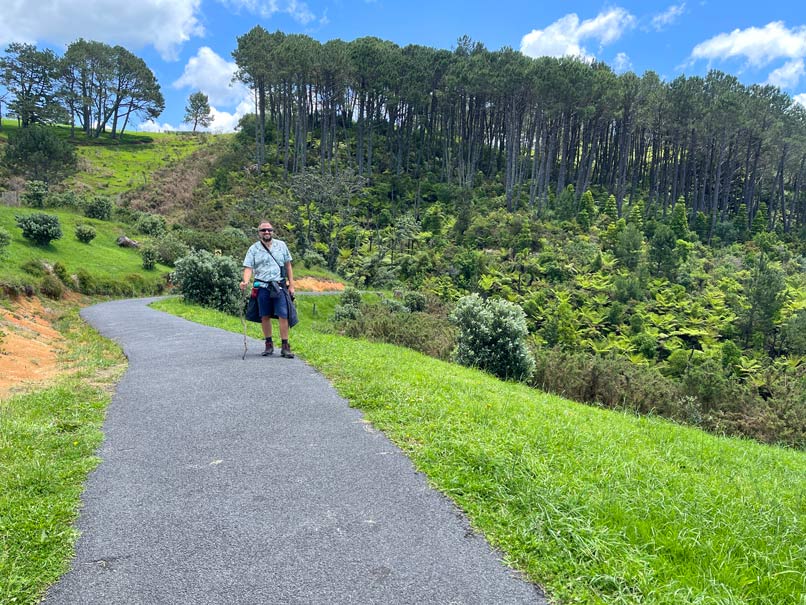 mann-auf-dem-wanderweg-cathedral-cove-walk-vor-wald-neuseeland