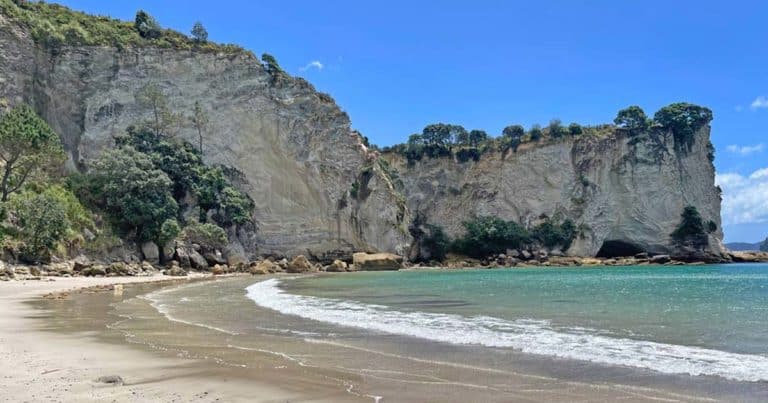 Mehr über den Artikel erfahren Coromandel Peninsula | 7 Sehenswürdigkeiten auf der Halbinsel in Neuseeland