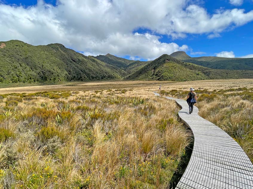 Route Nordinsel Neuseeland - 7 unvergessliche Highlights für euren Roadtrip mit Mietwagen oder Camper egmont-nationalpark-wanderungen-und-sehenswuerdigkeiten-neuseeland