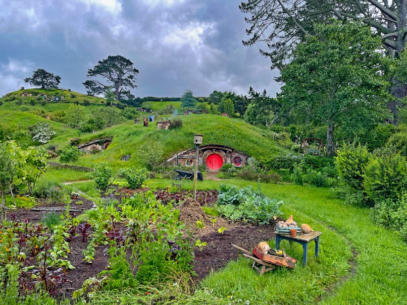 blick-auf-hobbithoehlen-hobbiton-ausflug-auenland-ab-rotorua-neuseeland-nordinsel