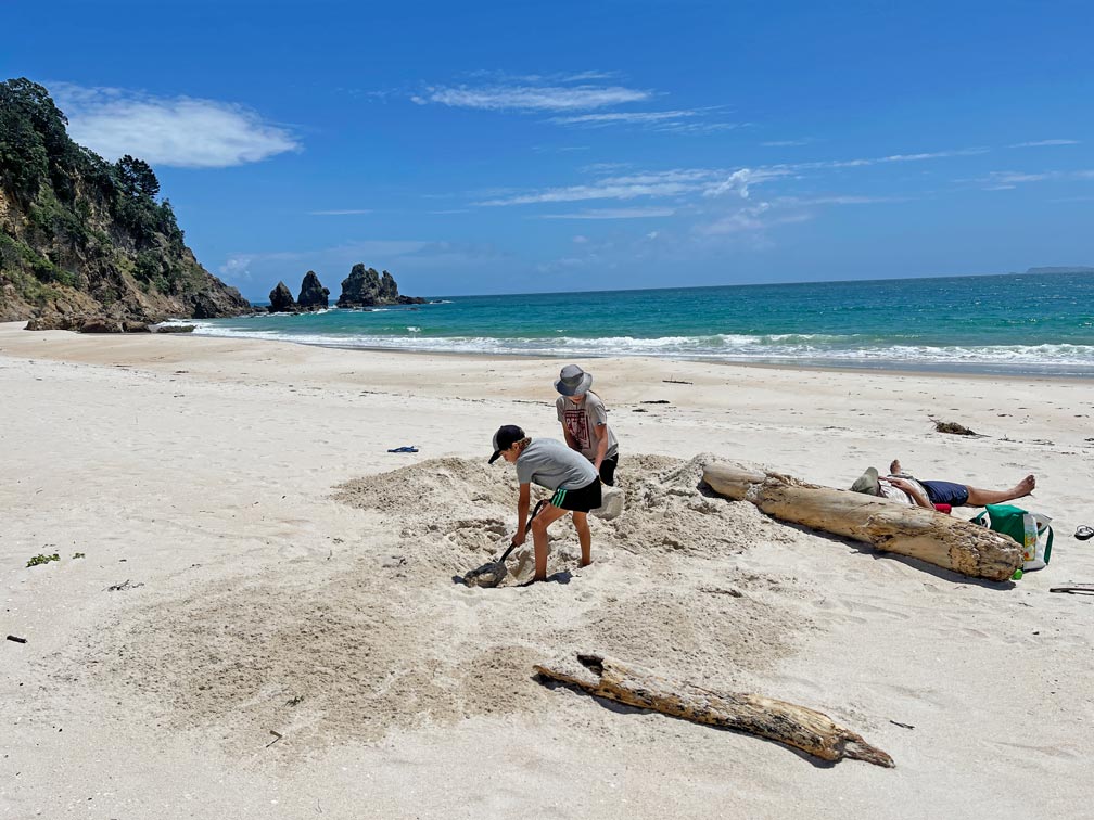 coromandel-strand-urlaub-neuseeland-nordinsel-wetter-im-sommer