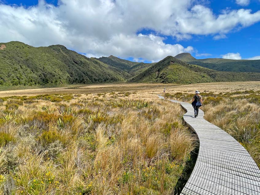 kind-wandert-auf-holzsteg-durch-buschlandschaft-auf-gruene-huegel-zu-im-egmont-national-park-in-neuseeland