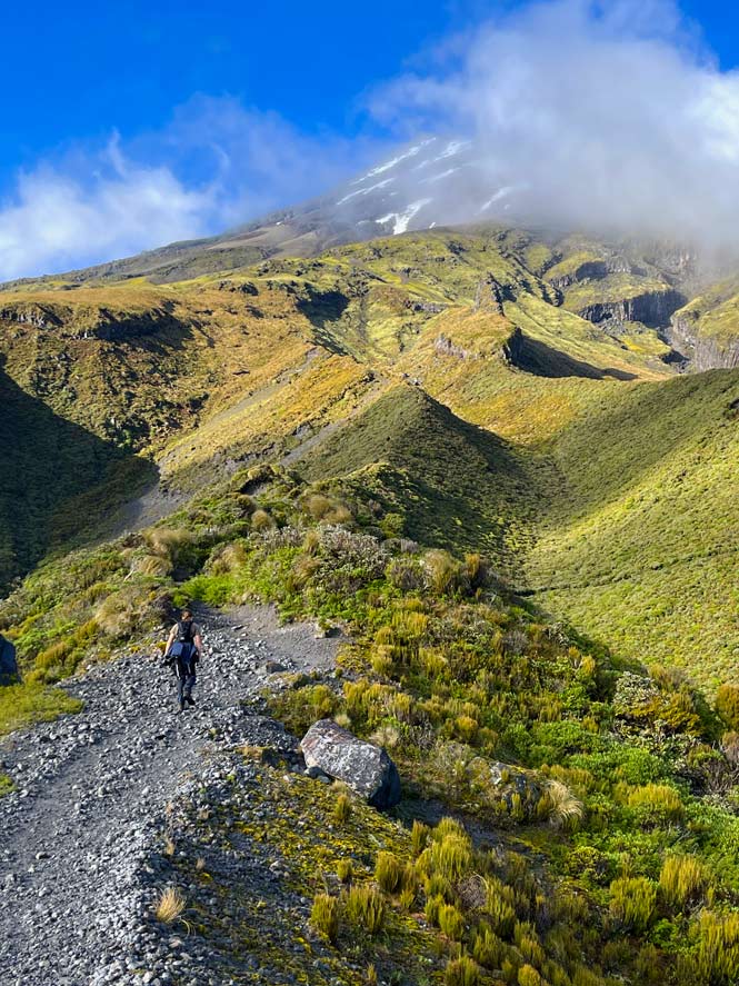 junge-wandert-auf-kiesweg-in-gruener-landschaft-in-neuseeland-nebel-liegt-vor-dem-vulkan-taranaki