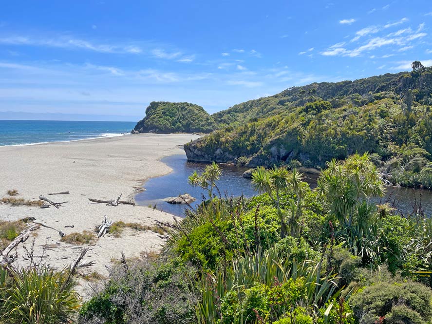 heller-sandstrand-mit-gruenem-gewaechs-an-der-seite-auf-neuseeland