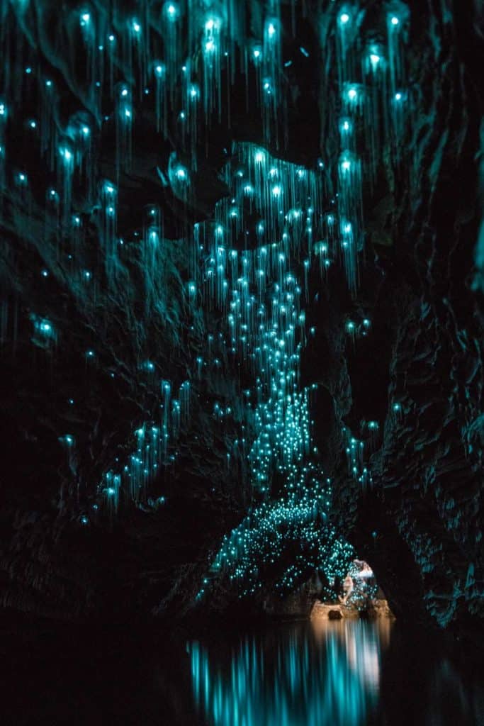 waitomo-caves-black-water-rafting-neuseeland-nordinsel-sehenswuerdigkeiten